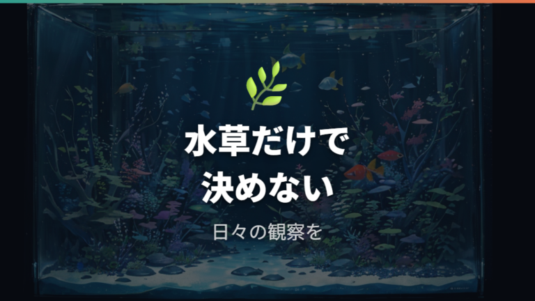 エアーポンプなし飼育の実例はメダカでも条件管理が前提