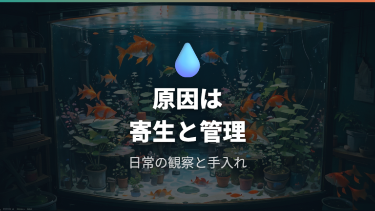 白点病の原因と水槽環境は白点虫と免疫低下で考える