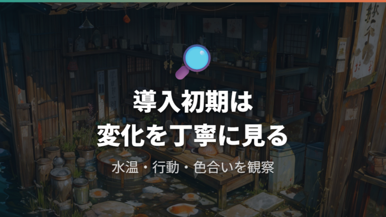 外飼いで失敗しやすい原因を導入初期に減らす