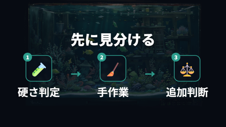 硬い緑コケを減らす手順は生体追加の前に見分ける