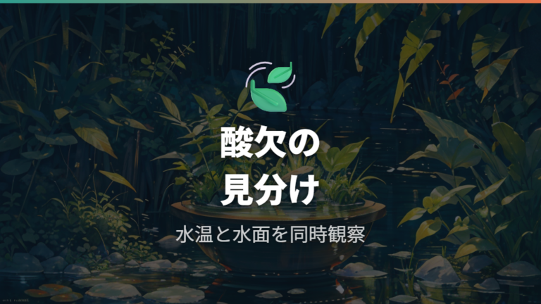 夏に起きやすい酸欠への対策は水温と水面の動きを見る