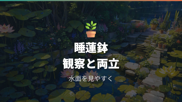 睡蓮鉢でのボウフラ対策はメダカと観察を組み合わせる
