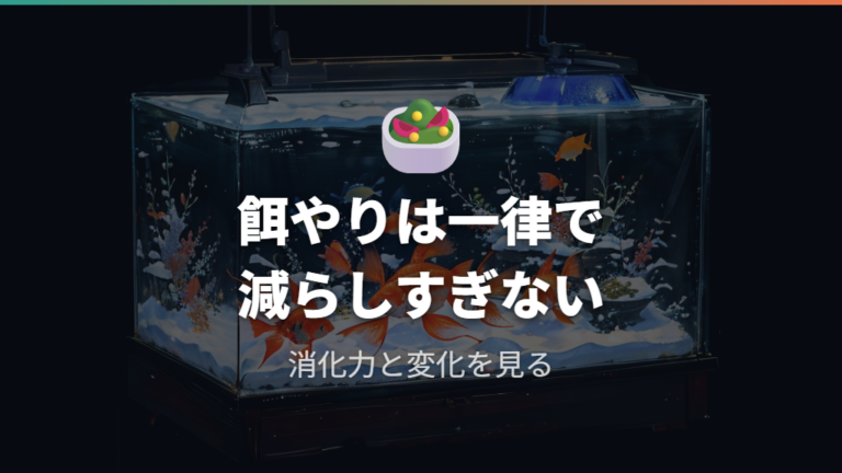冬の餌やりを減らす目安は低水温時の消化力で判断する