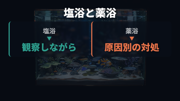 塩浴と薬浴による治療法は役割を分けて考える