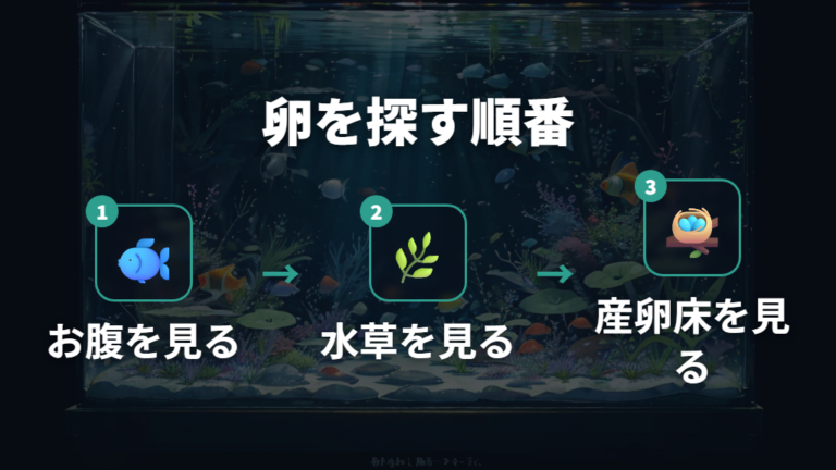 卵を産む場所と見つけ方は水草と産卵床を先に見る