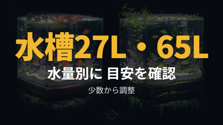 水槽サイズと匹数の目安は少数から調整する