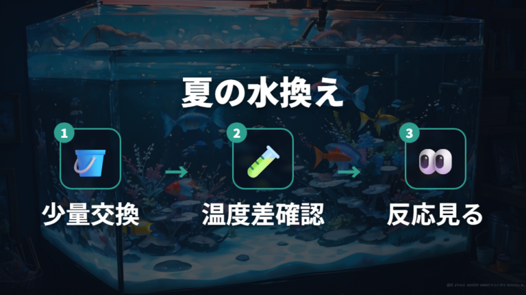 水質悪化を防ぐ夏の水換えは少量と温度差に注意する