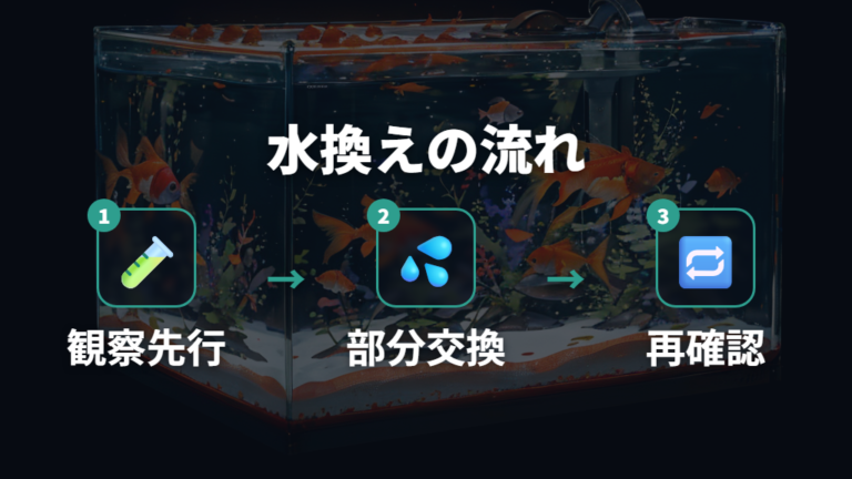 水換え頻度と水質管理のコツは急変を避けること