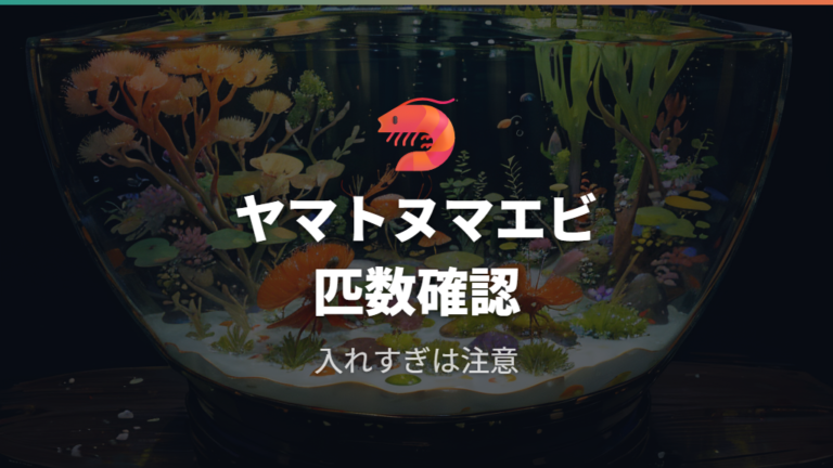 ヤマトヌマエビの飼育条件は糸状コケ向きでも入れすぎない