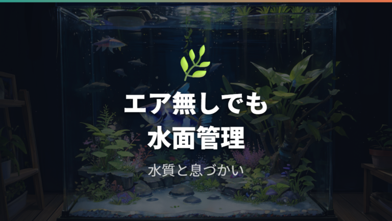 エアレーションなしの育て方は広い水面と水草で整える