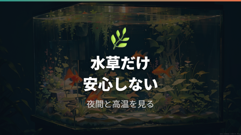水草と酸素の注意点は夜間と高水温も見る