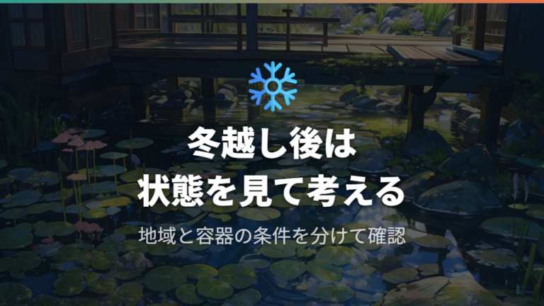 外飼いメダカの冬越し方法は実例を一般化しすぎない