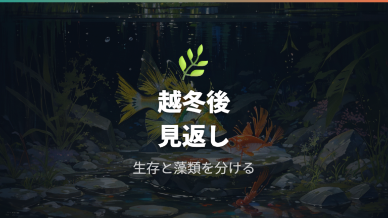 成功例と失敗例から学ぶプチプチ越冬後の見方