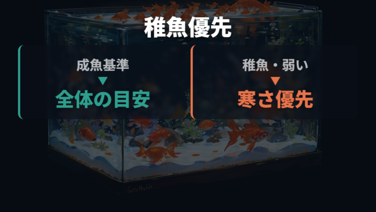 稚魚や弱った金魚の冬対策は寒さへの弱さを優先する