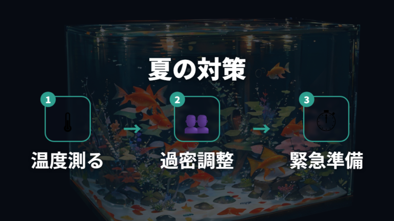 夏場に酸素不足を防ぐコツは高水温と過密を避けること