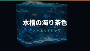 水槽の濁りが茶色になる原因は?見分け方と対処をやさしく整理