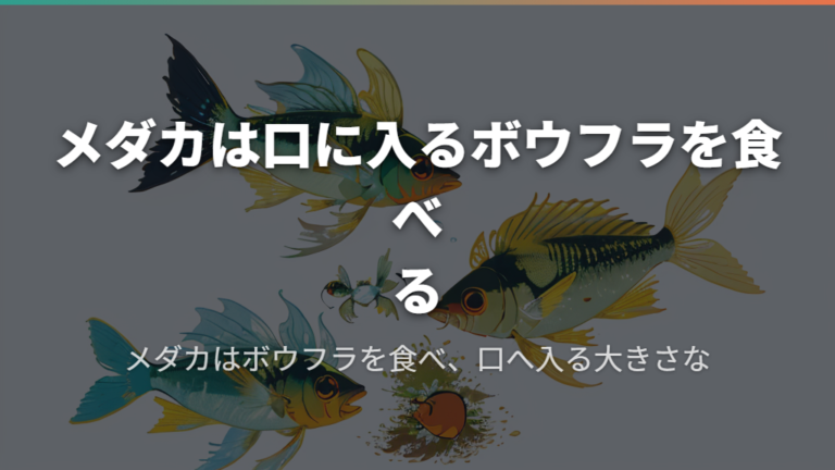 メダカは口に入るボウフラを食べる