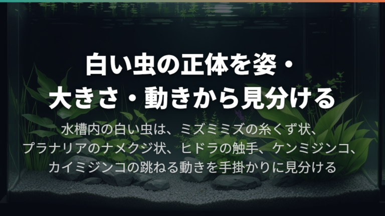 白い虫の正体を姿・大きさ・動きから見分ける