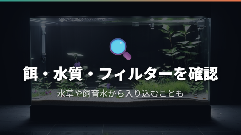 白い虫が侵入・増殖する原因を確認する