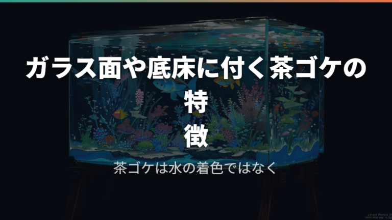 ガラス面や底床に付く茶ゴケの特徴