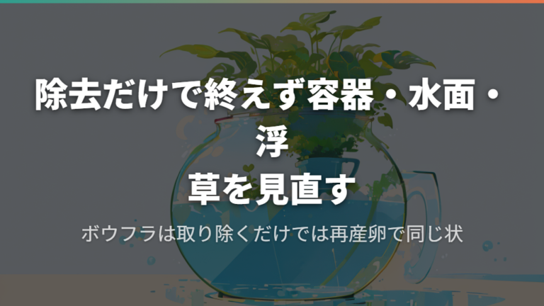 孵化直後のメダカや針子には大きすぎる