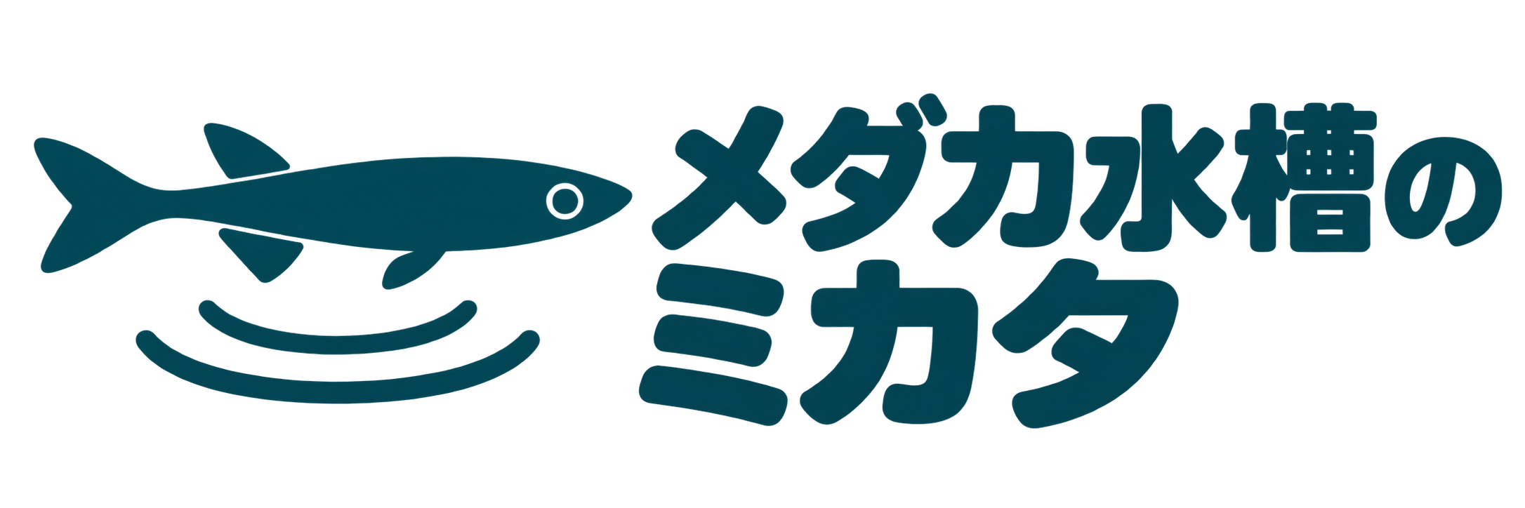 メダカ水槽のミカタ