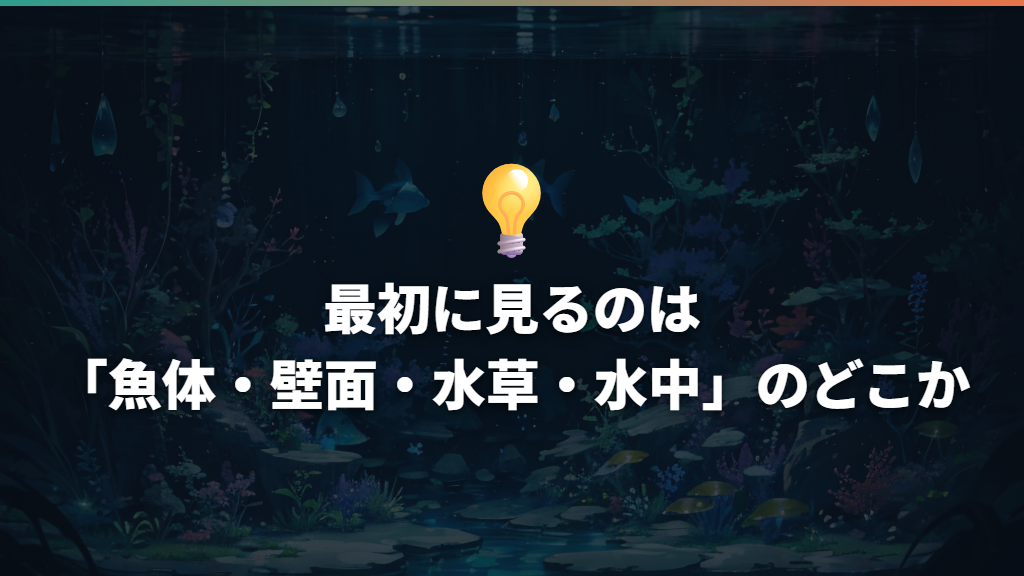最初に見るのは「魚体・壁面・水草・水中」のどこか