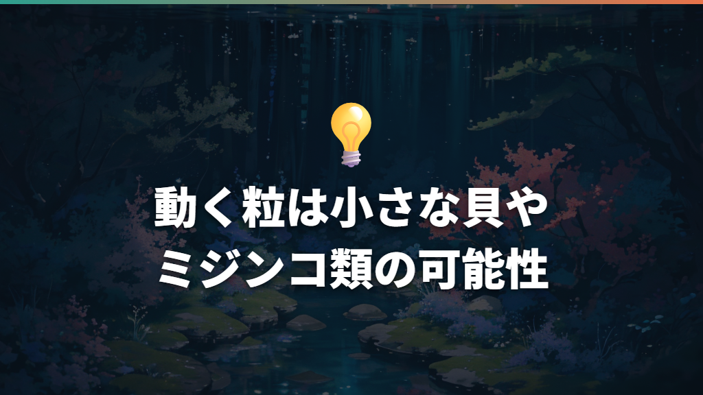 動く粒は小さな貝やミジンコ類の可能性