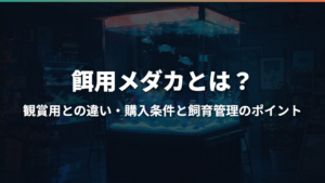 餌用メダカとは?観賞用との違い・購入条件と飼育管理のポイント