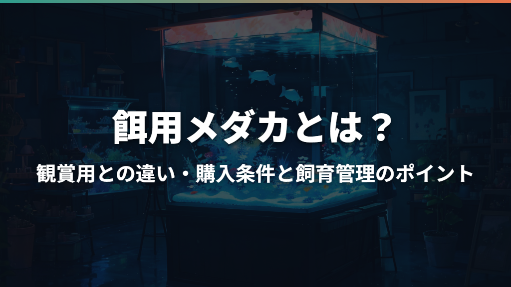 餌用メダカとは？観賞用との違い・購入条件と飼育管理のポイント