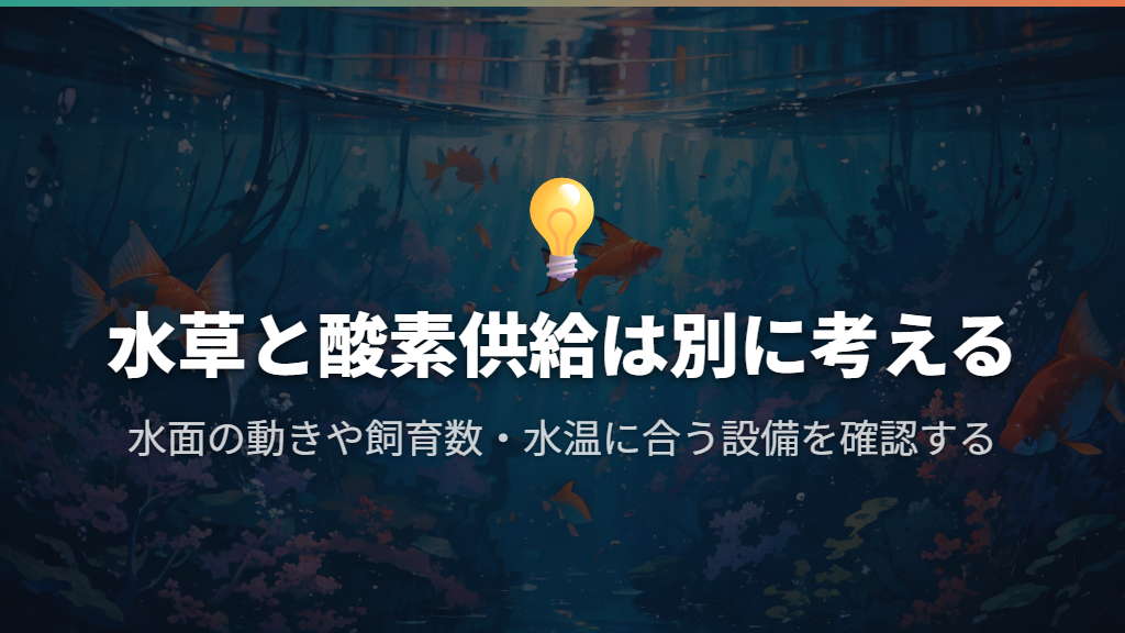 水草があっても酸素供給は別に考える