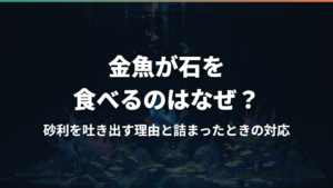 金魚が石を食べるのはなぜ?砂利を吐き出す理由と詰まったときの対応