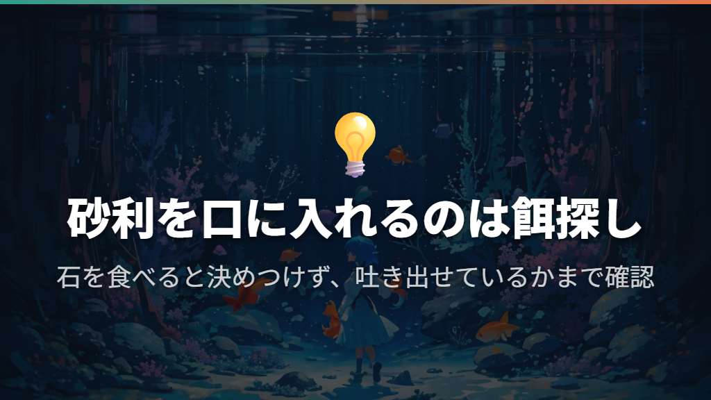 砂利を口に入れて吐き出すのは餌探しの行動