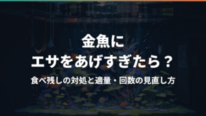 金魚にエサをあげすぎたら?食べ残しの対処と適量・回数の見直し方