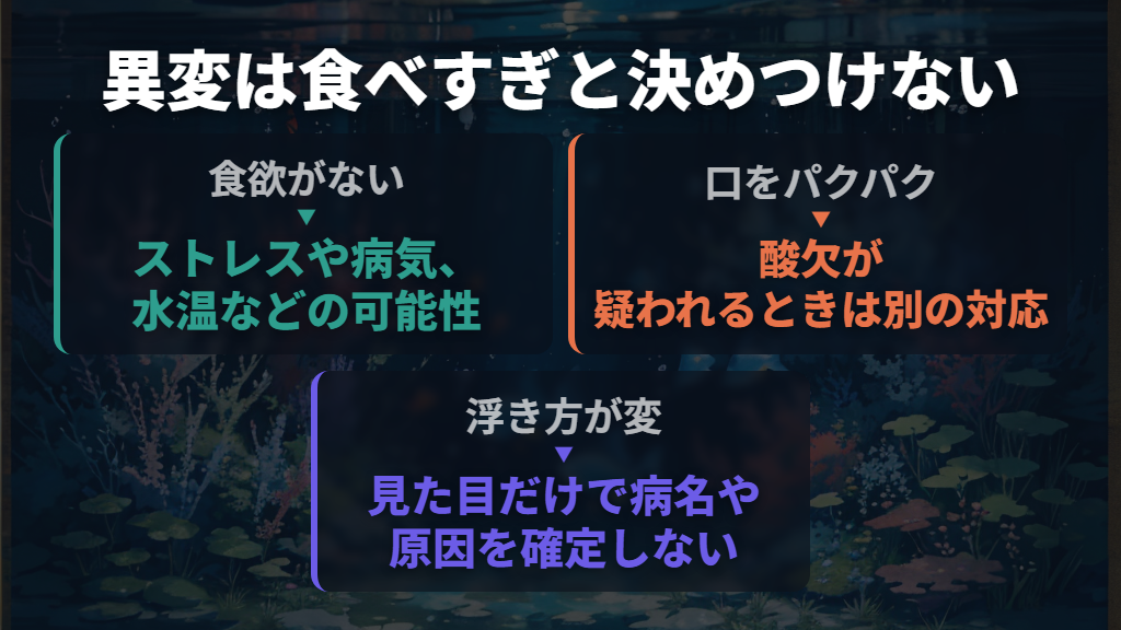 浮く・ひっくり返る・食べない原因を決めつけない