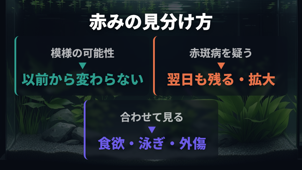 まず確認したいのは「以前からの模様」か「新しく出た赤み」か