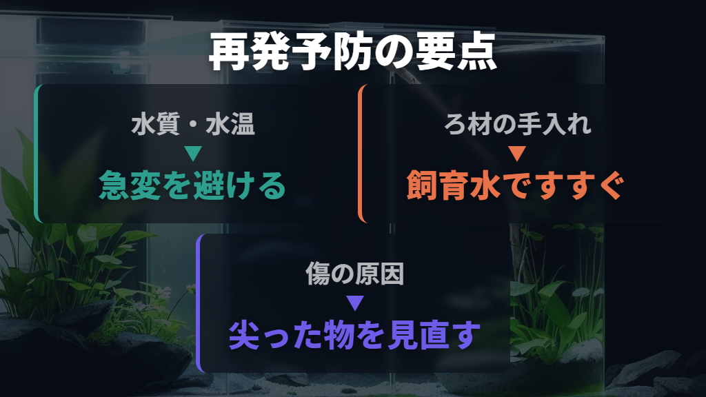 赤斑病の再発予防は水質・水温・傷の原因を見直す