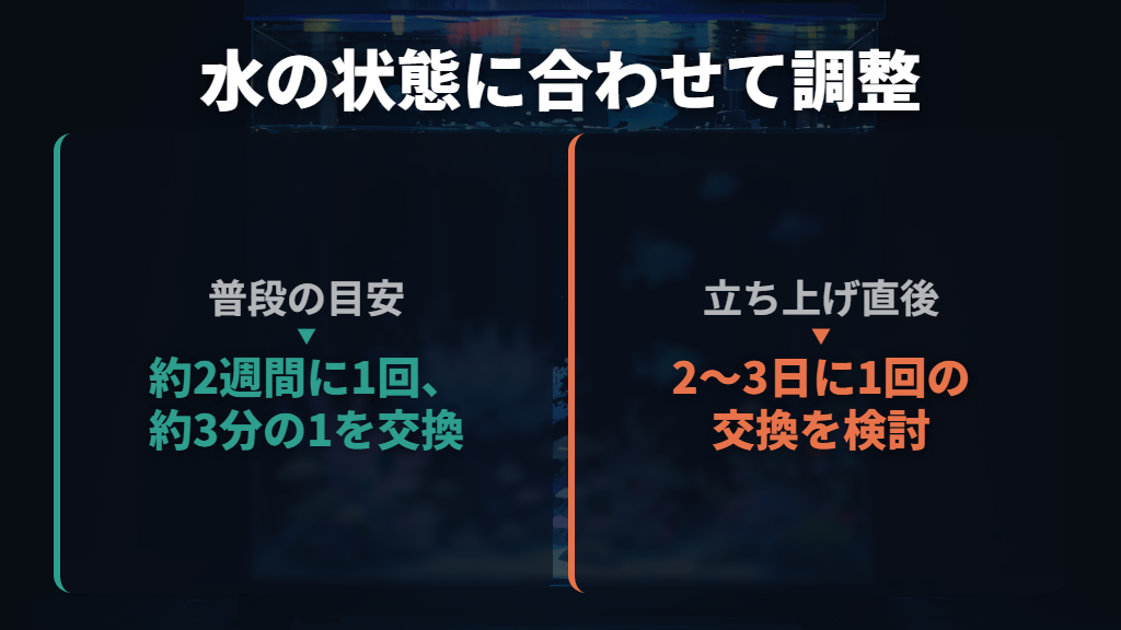 水換えは日数を固定せず、ろ過の有無と水の状態で調整する