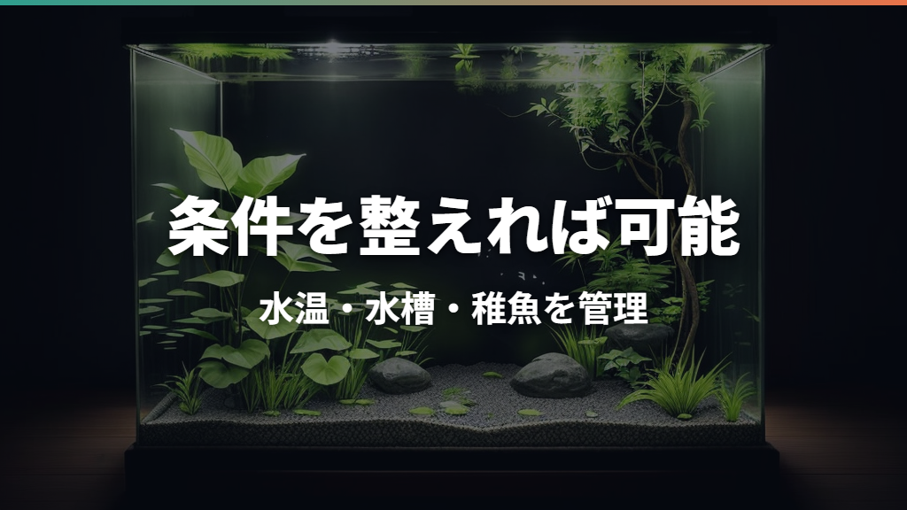 グッピーとメダカは混泳できる?水温・水槽作り・稚魚対策を解説