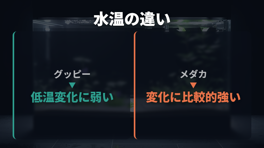 グッピーとメダカの混泳では水温を安定させる