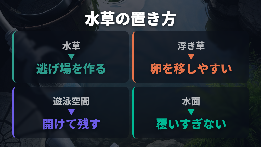 水草と泳ぐ空間を両立した混泳レイアウト