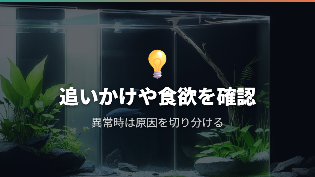 少数から始めて混泳の成功・失敗を見分ける
