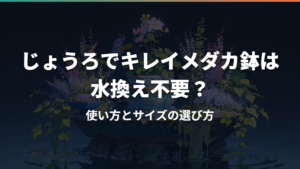 じょうろでキレイメダカ鉢は水換え不要？使い方とサイズの選び方