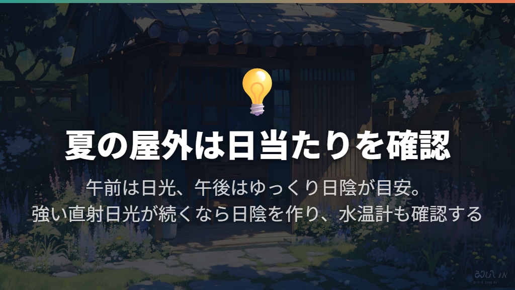 屋外では排水先と日当たりを一緒に考える