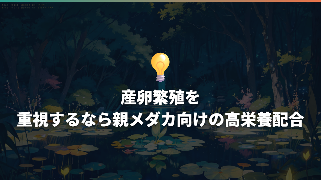 産卵繁殖を重視するなら親メダカ向けの高栄養配合