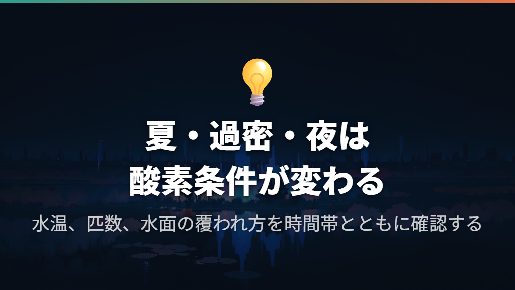 夏・過密飼育・夜の水草で酸素の条件が変わる