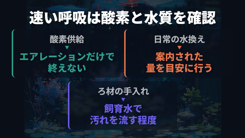 速い呼吸と水の汚れが気になるときは水換えを見直す