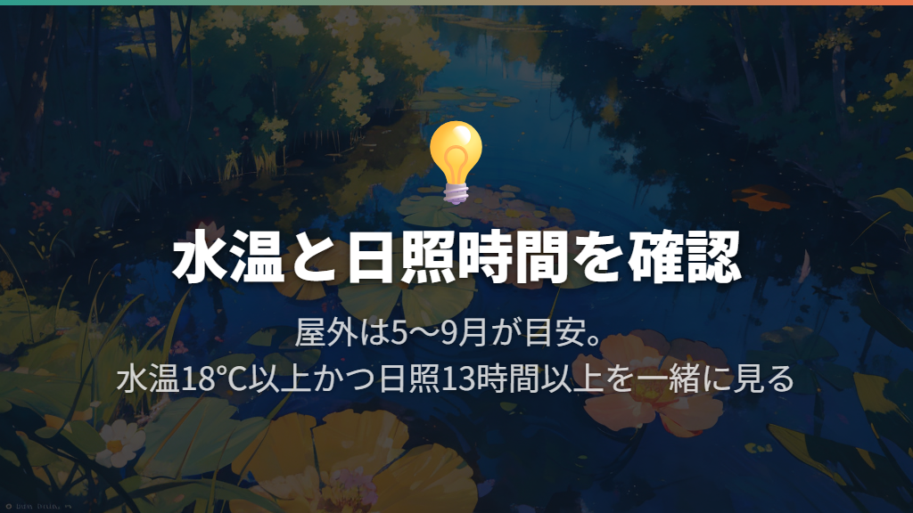 繁殖の時期はいつ?水温と日照時間を一緒に見る