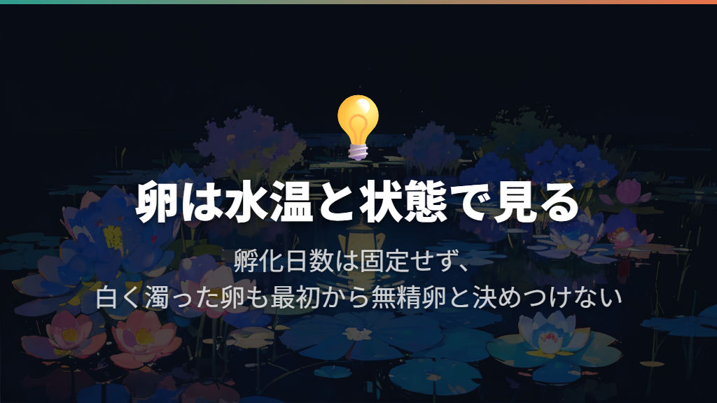 孵化までの日数と白く濁った卵の見方