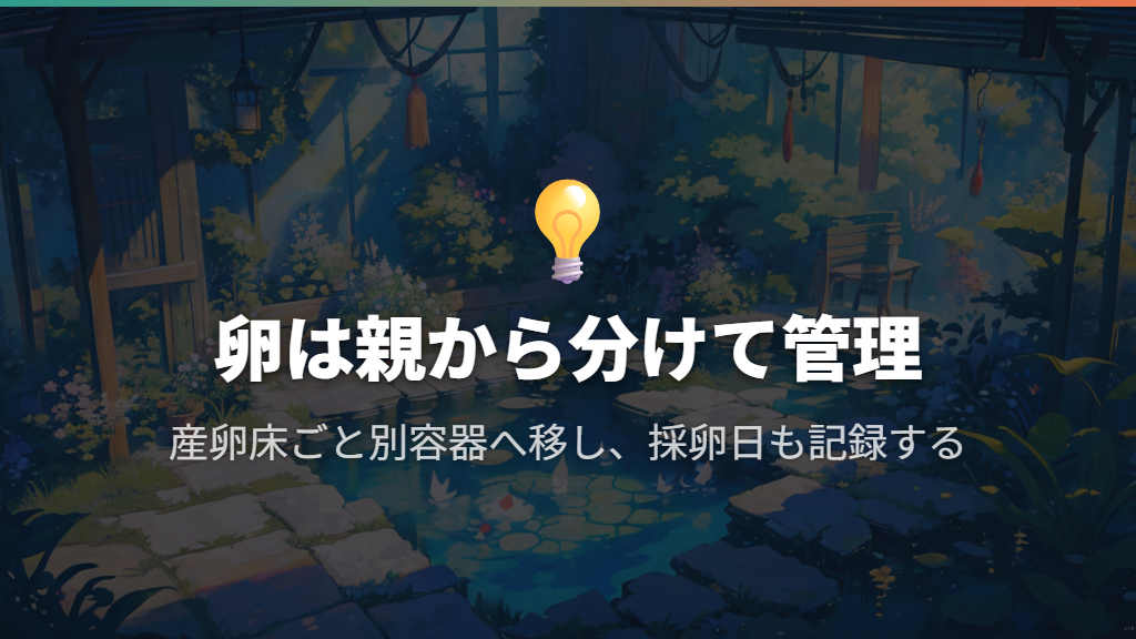 卵を見つけたら、産卵床ごと親から分ける